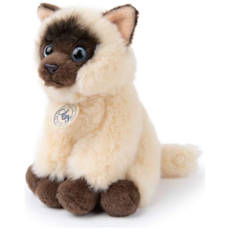 Peluche Eddie le Siamois (17 cm) BT Chaps Produit 3