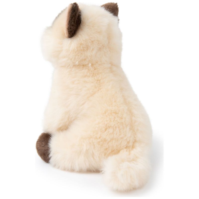 Peluche Eddie le Siamois (17 cm) BT Chaps Produit 4