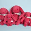 Peluche Lapin Fleurette Fuchsia (50 cm) Doudou et Compagnie Ambiance 2