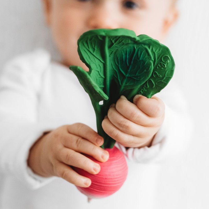 Coffret anneaux de dentition Radish Oli & Carol Ambiance 6