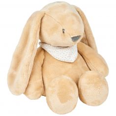 Peluche veilleuse Sleepy Lapin Brun Clair - Nattou Peluche veilleuse Sleepy Lapin Brun Clair - Nattou