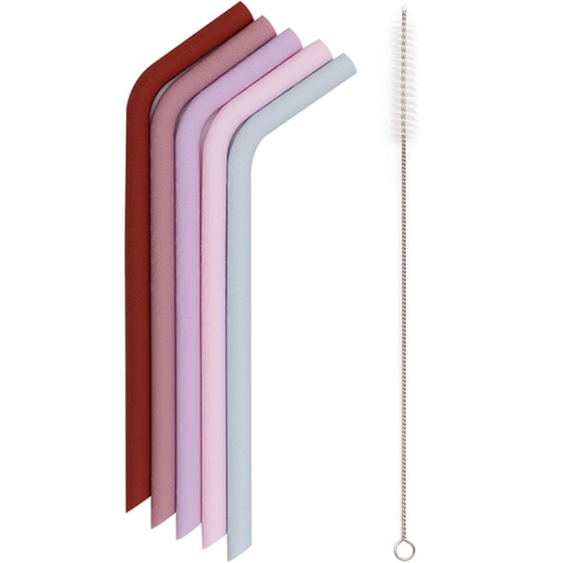 Lot de 5 pailles en silicone Earth & Bloom We Might Be Tiny