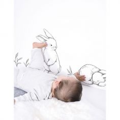 Chambre Bebe Lapin Deco Et Mobilier Berceau Magique