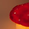 Grande lampe veilleuse champignon Brique Rouge Egmont Toys Ambiance 7