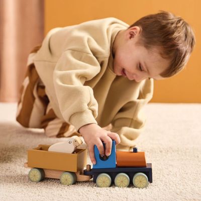 Train d'activités Animaux de la ferme Aiden