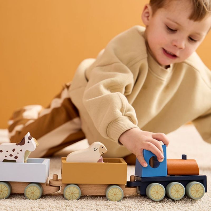 Train d'activités Animaux de la ferme Aiden Kid's Concept Ambiance 5