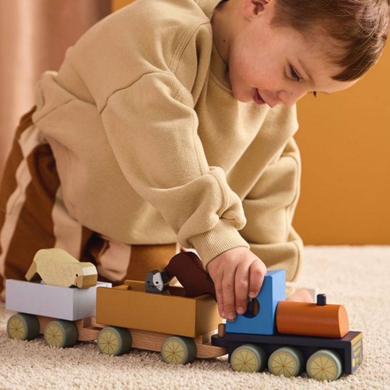 Train d'activités Animaux de la ferme Aiden Kid's Concept Ambiance 8