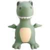 Ballon sauteur Le Dino Dexter  par Find that hippo