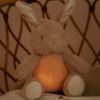 Peluche musicale et lumineuse Lapin Newborn Little Dutch Ambiance 2