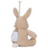 Peluche musicale et lumineuse Lapin Newborn Little Dutch Produit 6