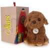 Peluche Stacy le Labdradoodle (17 cm) BT Chaps Packaging 2