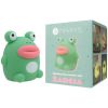 Veilleuse rechergeable Froggy Mary's Packaging 5