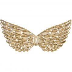 Ailes de Nyla - Souza For Kids