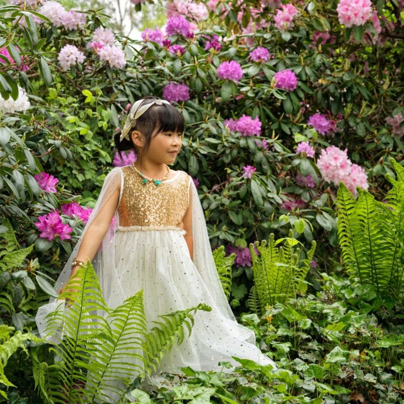 Déguisement robe Dorianne (5-7 ans) Souza For Kids Ambiance 2