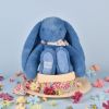 Peluche Lapin Fleurette Bleu (25 cm) Doudou et Compagnie Ambiance 2