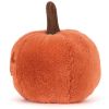 Peluche Ooky la citrouille Lanterne (12 cm) Jellycat Produit 4