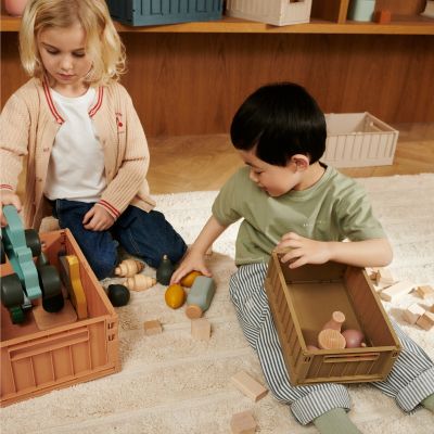 Lot de 2 caisses de rangement Weston S Oat