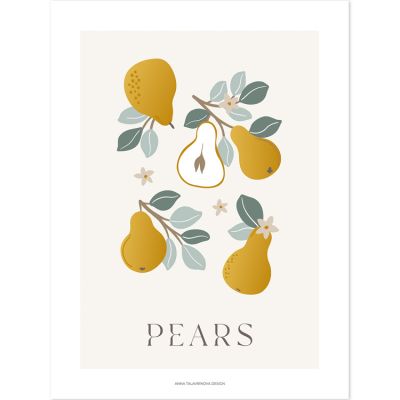 Affiche poires Pears (30 x 40 cm)