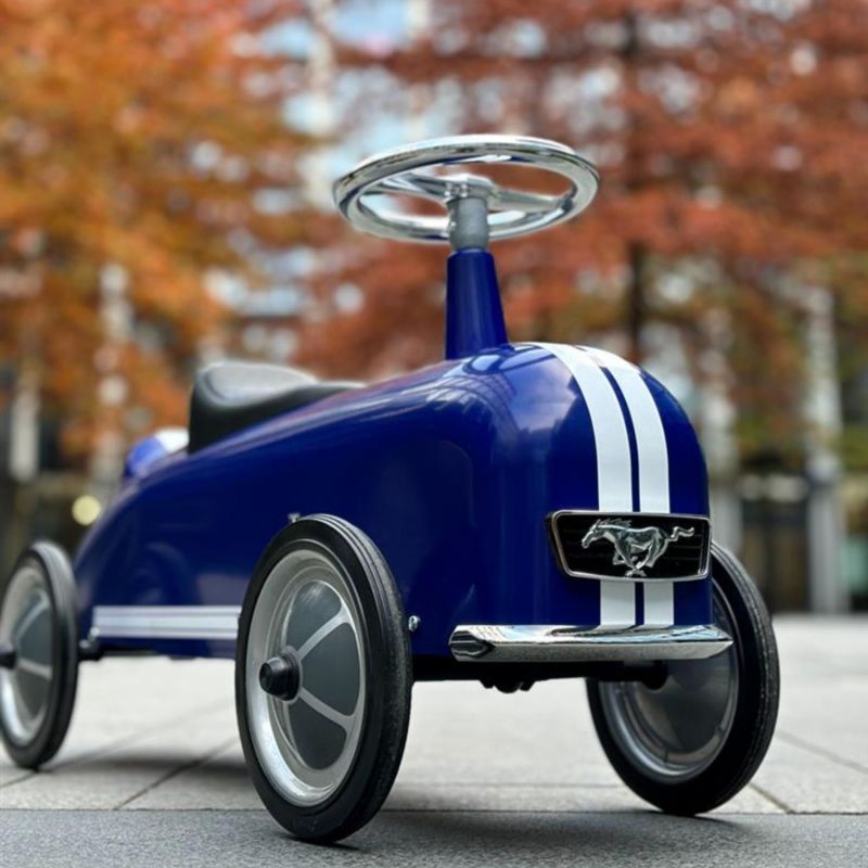 Porteur Ford Mustang Baghera Ambiance 7