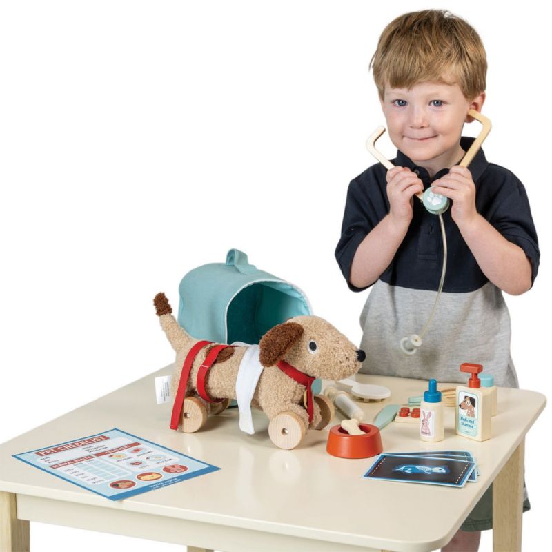 Kit transport vétérinaire (26 cm) Tender Leaf Produit 8