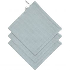 Lot de 3 débarbouillettes bleu poudré - Lässig 