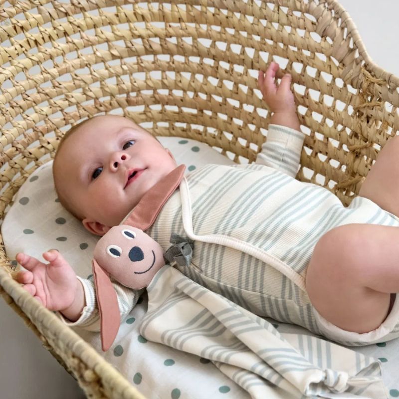 Doudou plat Chien Lässig Ambiance 7