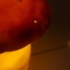Lampe veilleuse champignon Terra Egmont Toys Ambiance 8