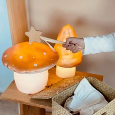 Lampe veilleuse champignon Terra