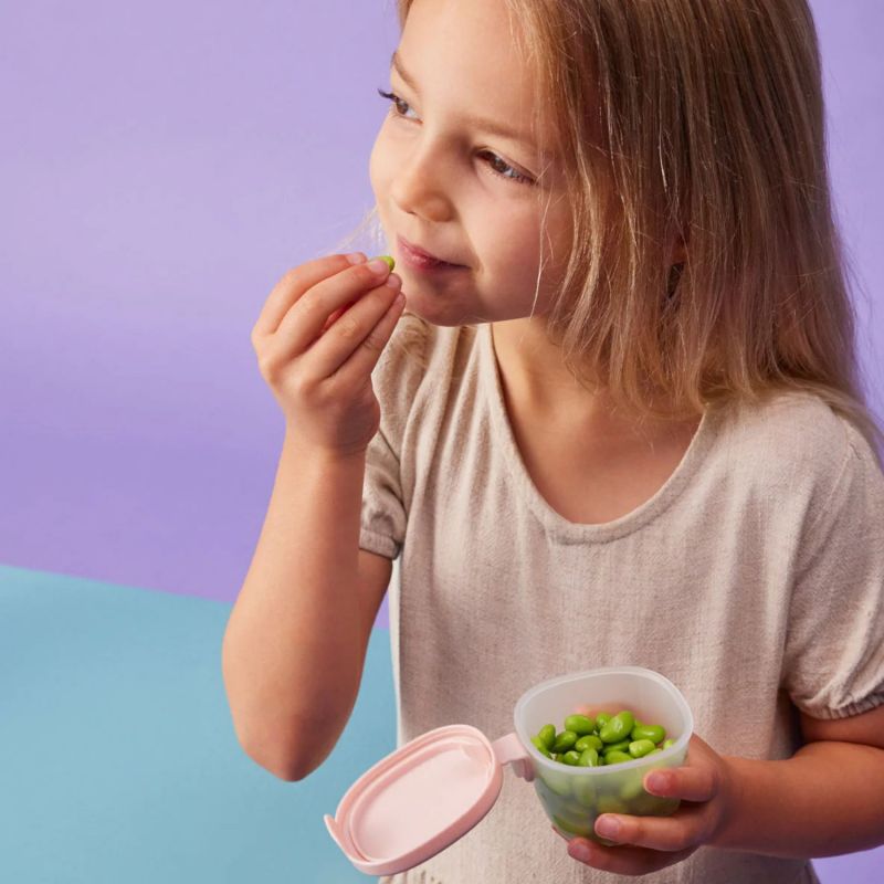 Lot de 3 boîtes à goûter Berry B.Box Ambiance 9