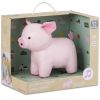 Léon le Cochon Les Animaux Musicaux Little Big Friends Packaging 8