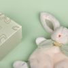 Doudou Lapin Bonbon sauge (25 cm) Doudou et Compagnie Ambiance 6