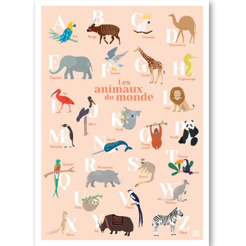 Abécédaire des animaux du monde fond corail (A3) Papier curieux