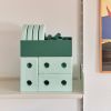 Trotteur 3 en 1 Ocean Mint / Forest Green  par Modu