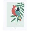 Affiche encadrée perroquet vert (30 x 40 cm)  par Lilipinso