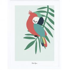 Affiche encadrée perroquet vert (30 x 40 cm)