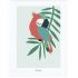Affiche encadrée perroquet vert (30 x 40 cm) - Lilipinso