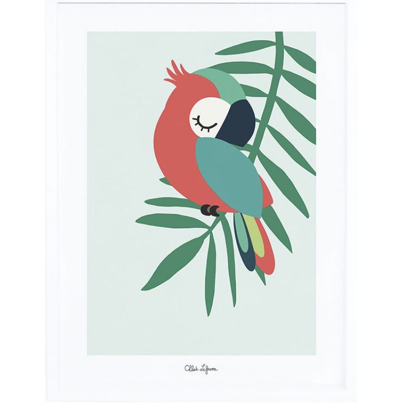 Affiche encadrée perroquet vert (30 x 40 cm) Lilipinso