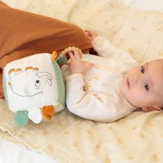 Cube d'activités Diplododo