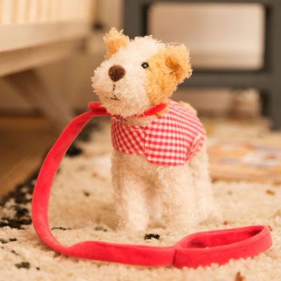 Eliot le chien avec manteau et laisse