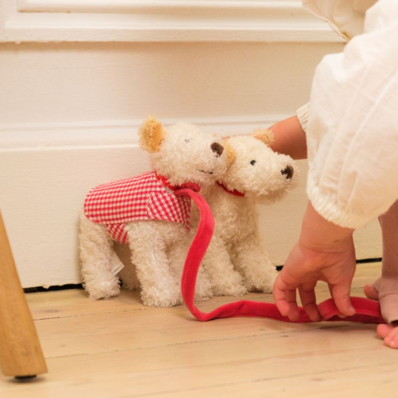 Eliot le chien avec manteau et laisse Egmont Toys Ambiance 5