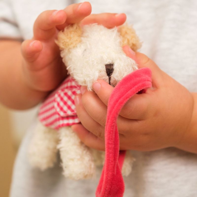 Eliot le chien avec manteau et laisse Egmont Toys Ambiance 6
