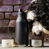 Gourde pour chien 3 en 1 Buddy Pastel Peach (1 litre) Asobu Ambiance 4