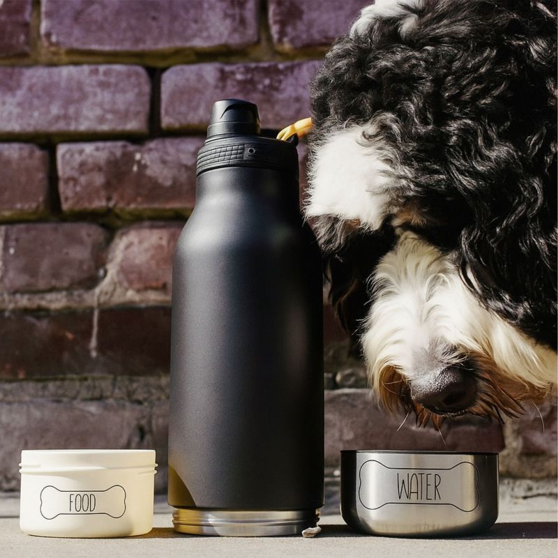 Gourde pour chien 3 en 1 Buddy Pastel Peach (1 litre) Asobu Ambiance 4