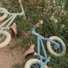 Draisienne blue matte Little Dutch Ambiance 9