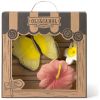 Coffret anneaux de dentition Butterfly Oli & Carol Packaging 1