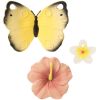 Coffret anneaux de dentition Butterfly Oli & Carol Produit 3