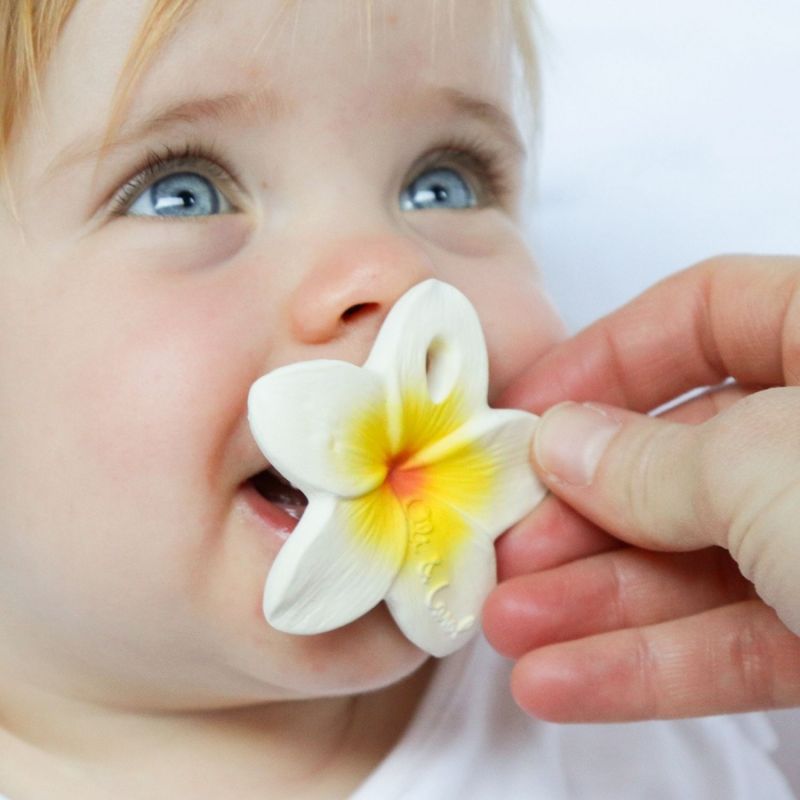 Coffret anneaux de dentition Butterfly Oli & Carol Ambiance 2