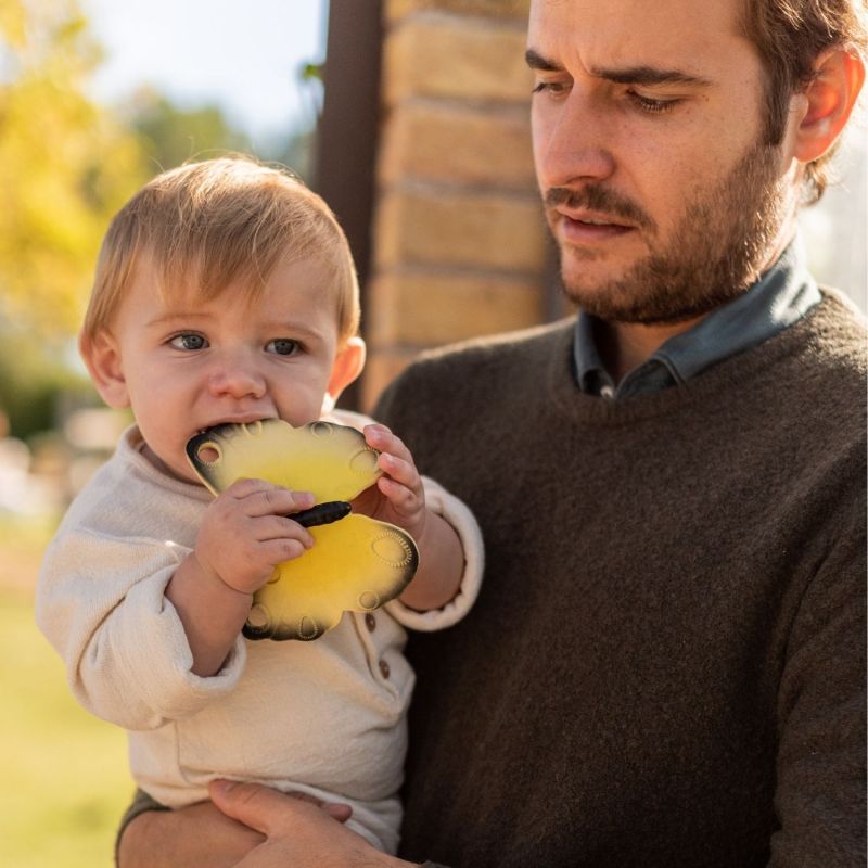 Coffret anneaux de dentition Butterfly Oli & Carol Ambiance 7