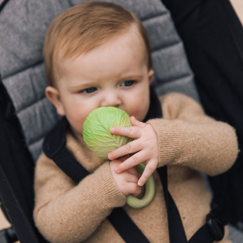 Hochet et anneau de dentition bébé Chou Oli & Carol Ambiance 4