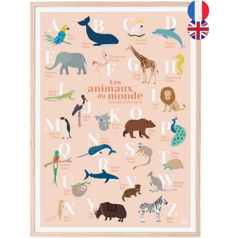 Abécédaire des animaux du monde bilingue fond corail (A3) Papier curieux